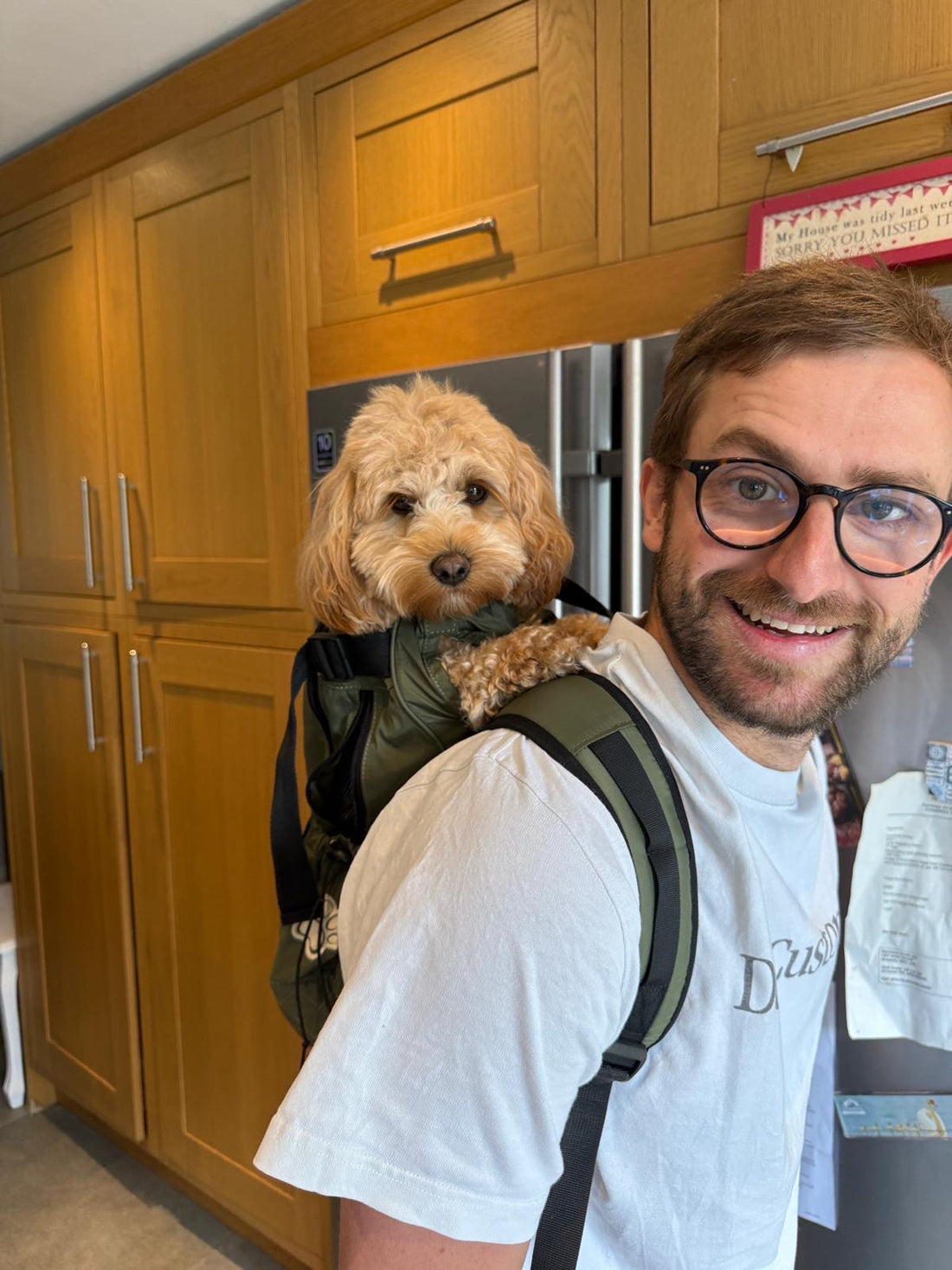 Man met kleine toy poodle op de rug in een rugzak