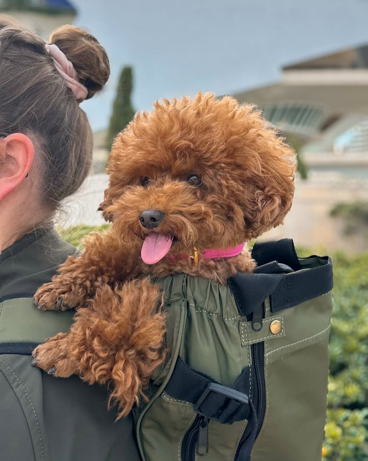 Homies dog carrier olive green