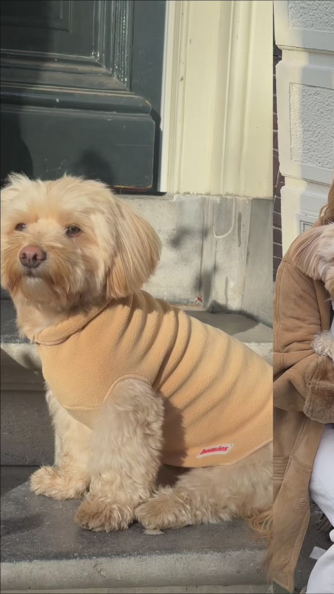 honden fleece trui | dog sweater