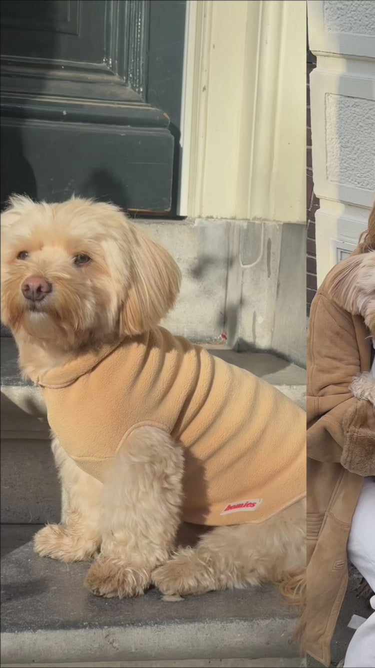 honden fleece trui | dog sweater